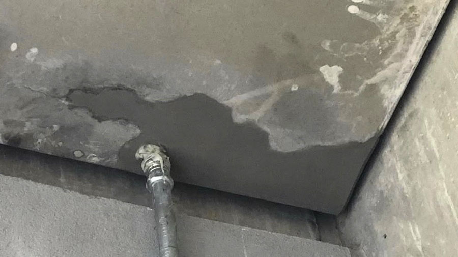 Fence after cleaning