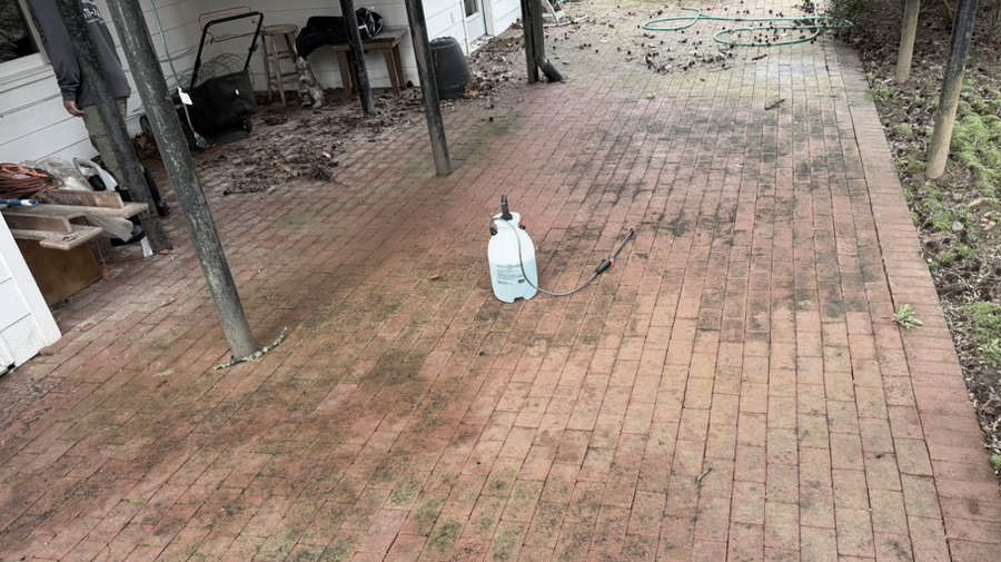 Fence before cleaning