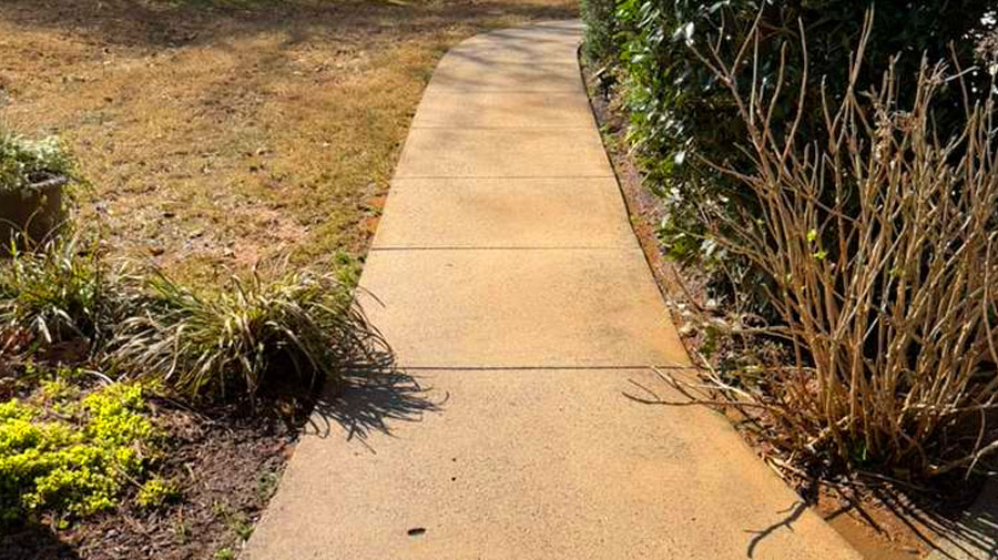 Fence after cleaning