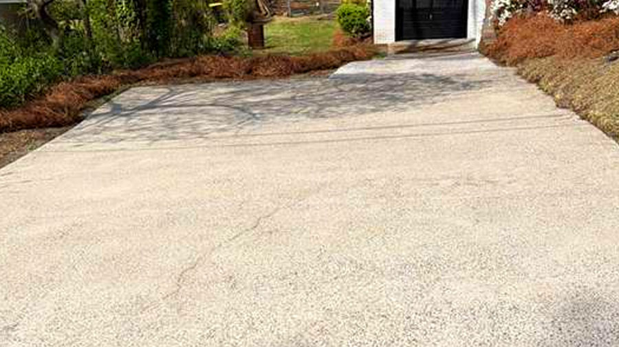 Fence after cleaning